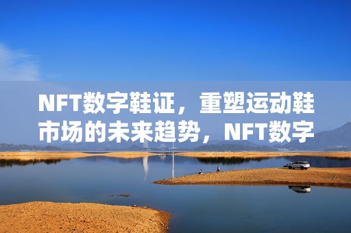 NFT数字鞋证，重塑运动鞋市场的未来趋势，NFT数字鞋证引领运动鞋市场未来趋势重塑