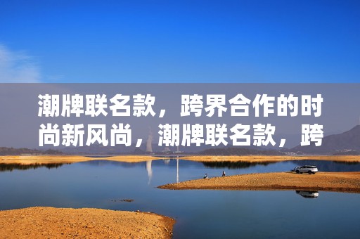 潮牌联名款，跨界合作的时尚新风尚，潮牌联名款，跨界合作引领时尚新风尚