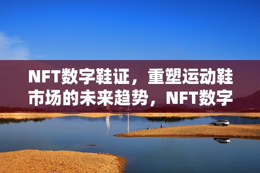 NFT数字鞋证，重塑运动鞋市场的未来趋势，NFT数字鞋证引领运动鞋市场未来趋势重塑