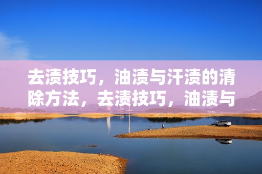 去渍技巧，油渍与汗渍的清除方法，去渍技巧，油渍与汗渍的清除攻略