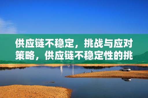 供应链不稳定，挑战与应对策略，供应链不稳定性的挑战及应对策略