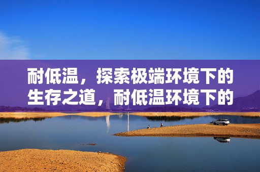 耐低温，探索极端环境下的生存之道，耐低温环境下的生存探索，极端环境的挑战与适应之道